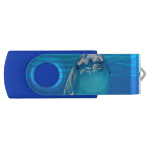 Lovely Dolphin Underwater Sea Life USB Flash Drive