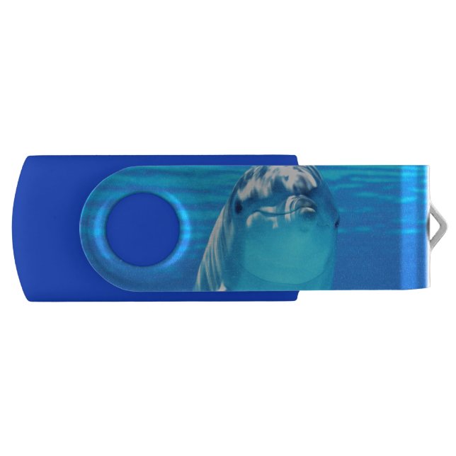 Lovely Dolphin Underwater Sea Life USB Flash Drive (Front)