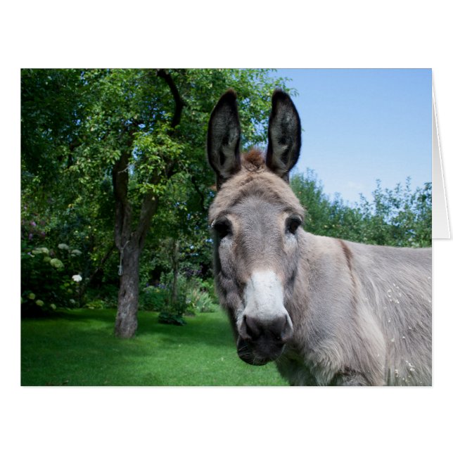Lovely Donkey Portrait Cards (Front Horizontal)