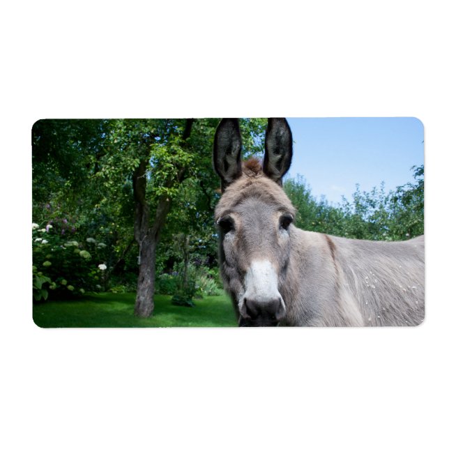 Lovely Donkey Portrait Label (Front)