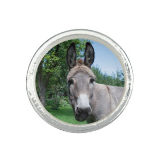 Lovely Donkey Portrait Ring