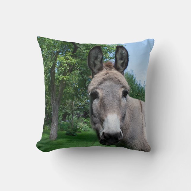 Lovely Donkey Portrait Throw Pillow (Front)