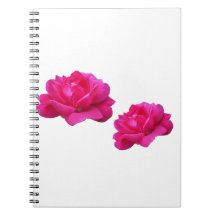 Lovely double rose pink flowers