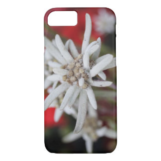 Lovely Edelweiss Leontopodium nivale iPhone 8/7 Case