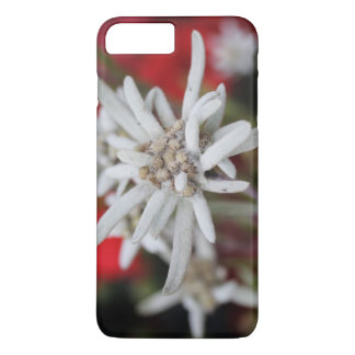 Lovely Edelweiss Leontopodium nivale iPhone 8 Plus/7 Plus Case