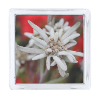Lovely Edelweiss Leontopodium nivale Silver Finish Lapel Pin