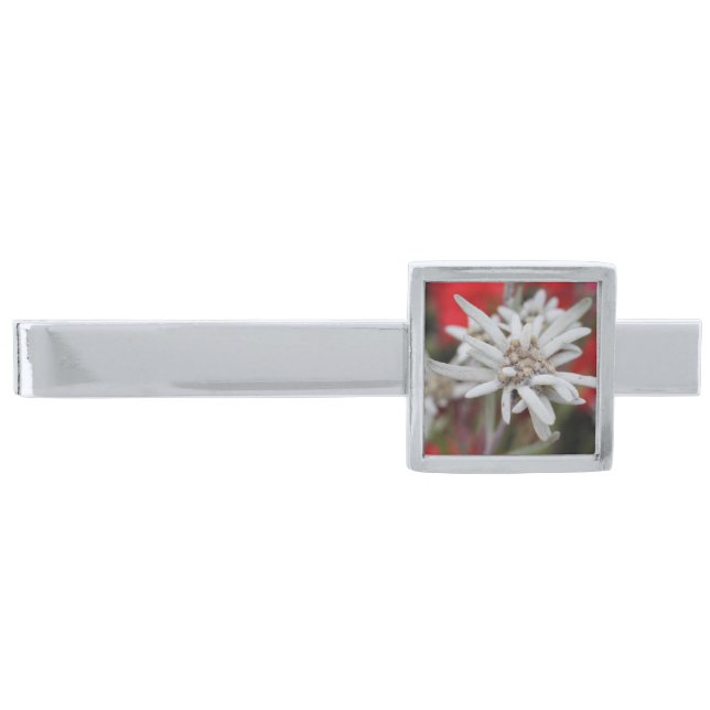 Lovely Edelweiss Leontopodium nivale Silver Finish Tie Bar (Front)