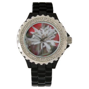 Lovely Edelweiss Leontopodium Nivale Watch by EManglFlowers at Zazzle