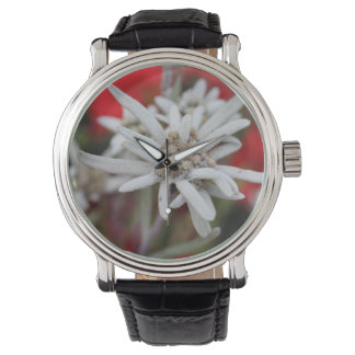 Lovely Edelweiss Leontopodium nivale Watch