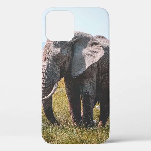 LOVELY ELEPHANT Case-Mate iPhone CASE (Back)