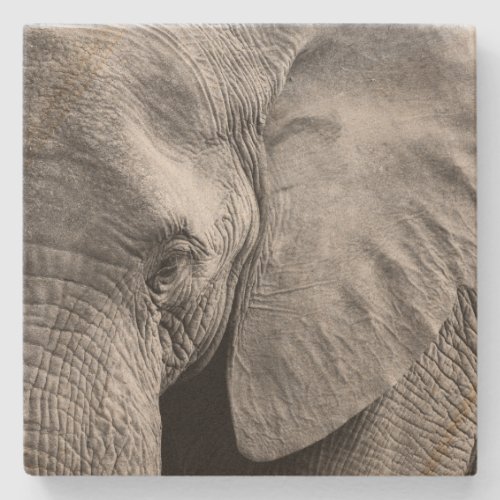 Lovely Elephant Face Stone Coaster