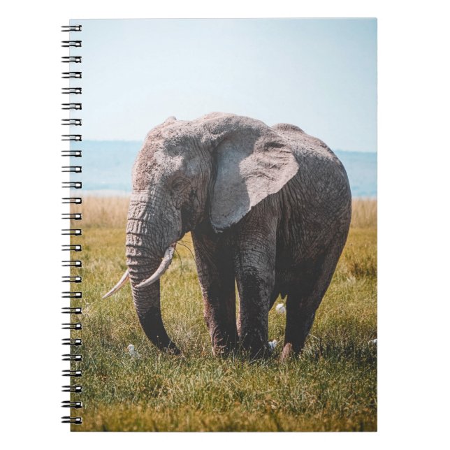 LOVELY ELEPHANT NOTEBOOK (Front)