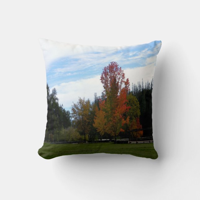 Lovely Fall Day... Throw Pillow (Front)