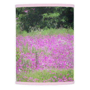 Lovely field of pink Phlox, Spring wildflowers Lamp Shade