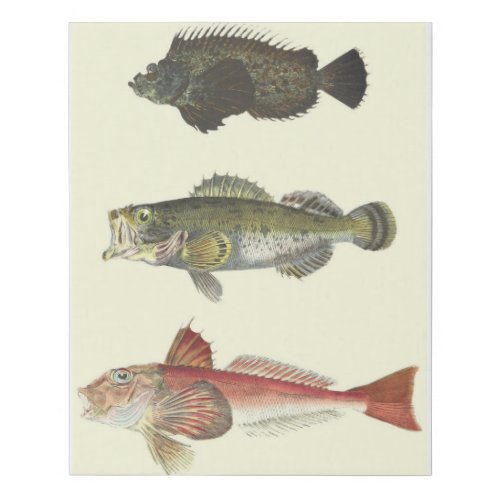 Lovely Fishes Painting Faux Canvas Print