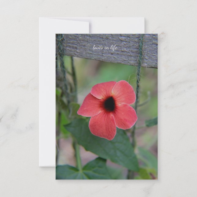 Lovely Garden Vine  Note Card (Front)