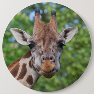 Lovely Giraffe Portrait Pinback Button