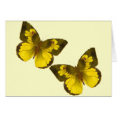 Lovely Golden Butterflies (Front Horizontal)