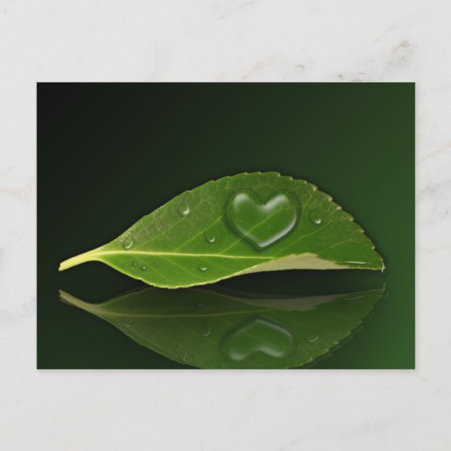 Lovely Heart-Shaped Water Droplet on Leaf Postcard (Front)