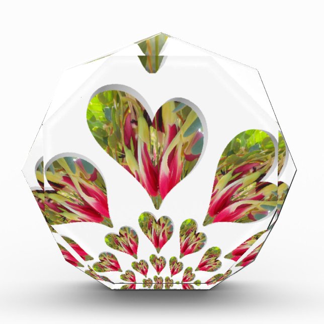 Lovely Hearts Humanitarian Day The World Needs Lov Acrylic Award (Front)