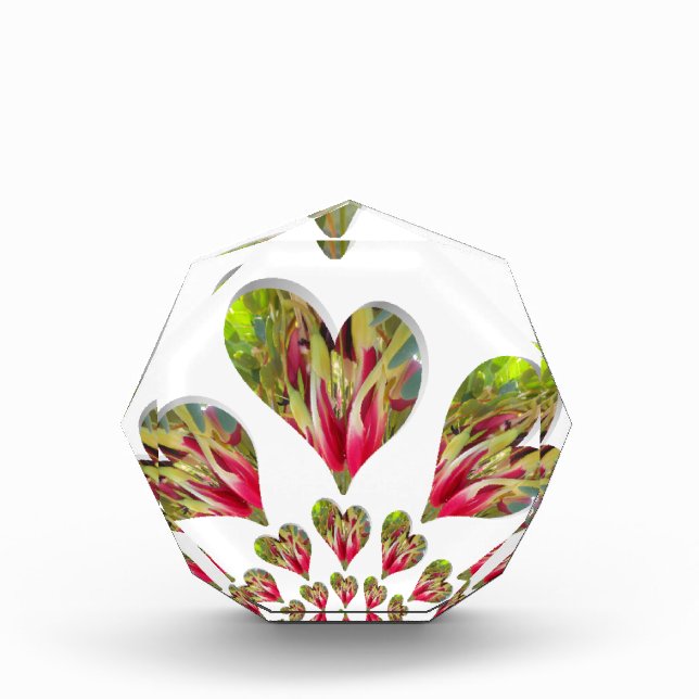 Lovely Hearts Humanitarian Day The World Needs Lov Award (Front)