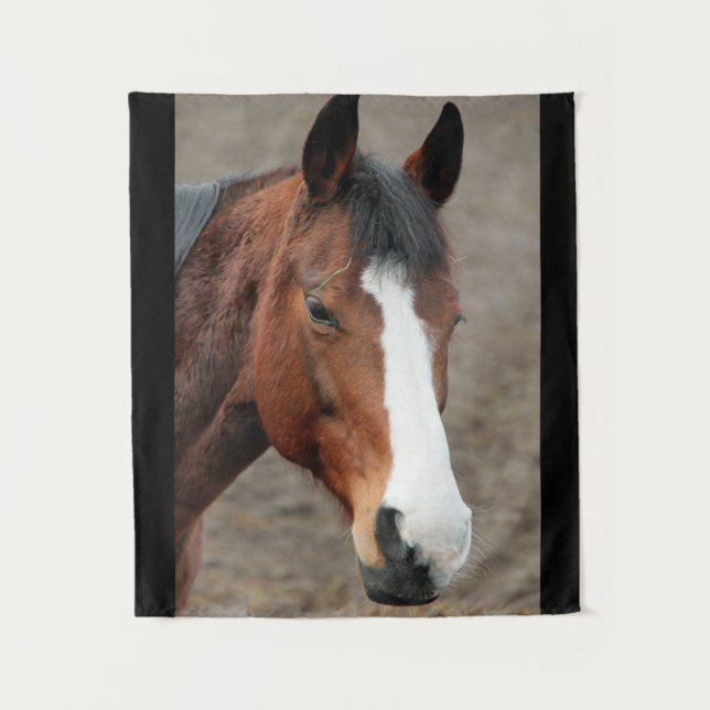 Lovely Horse Face Tapestry (Front)