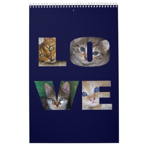 Lovely House Tigers 2024 Calendar
