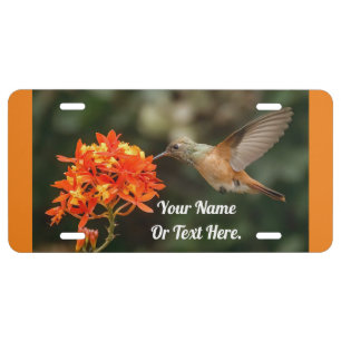 Lovely Hummingbird License Plate