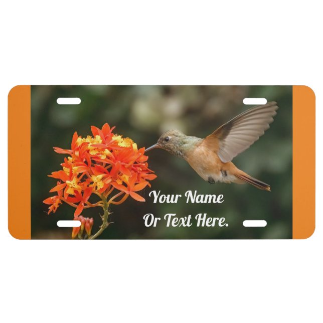 Lovely Hummingbird License Plate (Front)