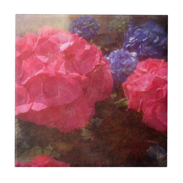 Lovely Hydrangea  Ceramic Tile (Front)