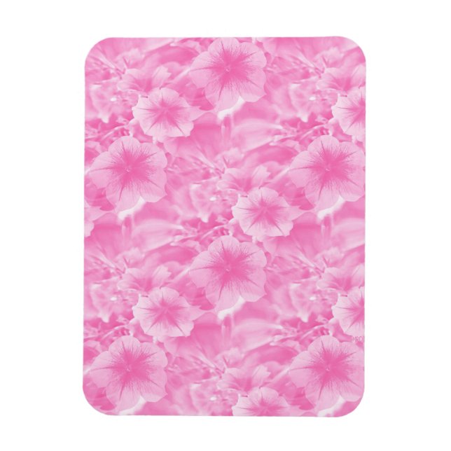 Lovely in pink.. magnet (Vertical)