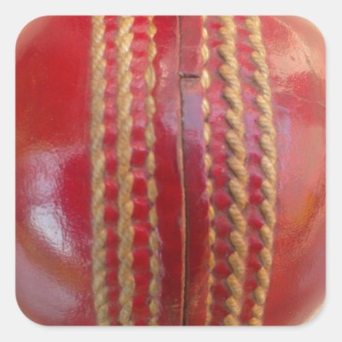 Lovely International Cricket Red Leather Ball Square Sticker
