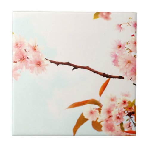 Lovely Japanese cherry blossom Ceramic Tile