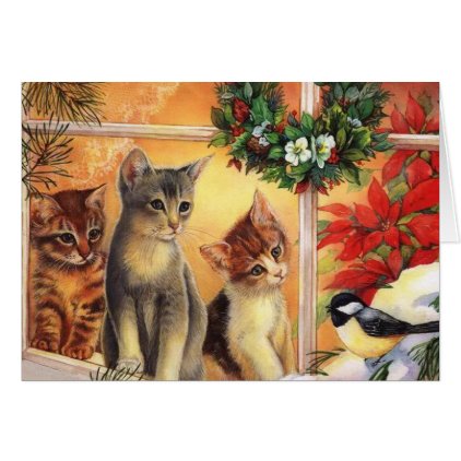 Lovely Kitten Christmas Card