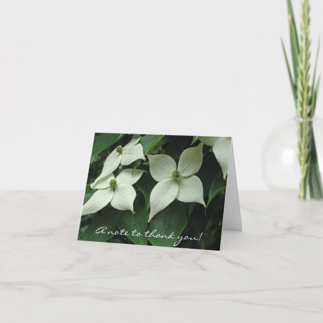 Lovely Korean Dogwood Thanks Thank You Card (Front)