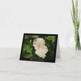 Lovely Large Pale Hibiscus Greeting Card