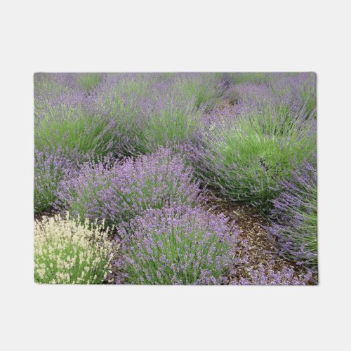 Lovely Lavender Doormat