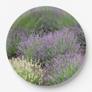 Lovely Lavender Paper Plates