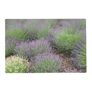 Lovely Lavender Placemat