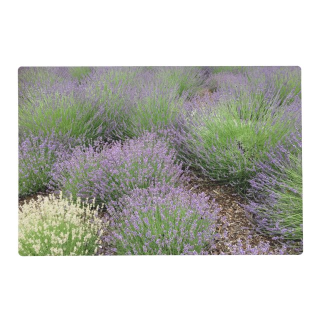 Lovely Lavender Placemat (Back)