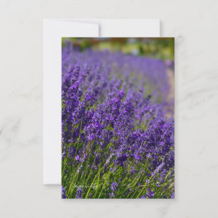Lovely Lavender Row Note Card