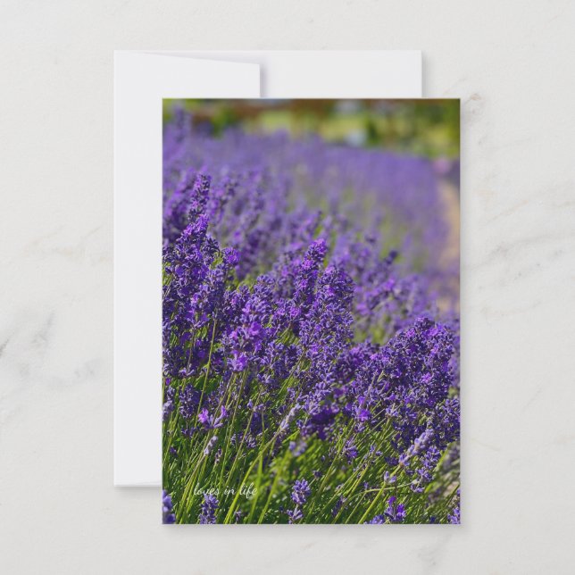 Lovely Lavender Row Note Card (Front)