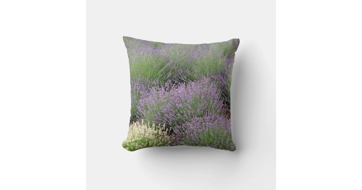 Lovely Lavender Throw Pillow Zazzle