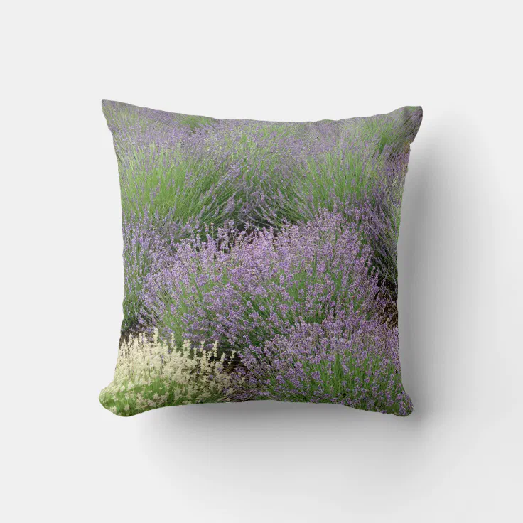 Lovely Lavender Throw Pillow Zazzle