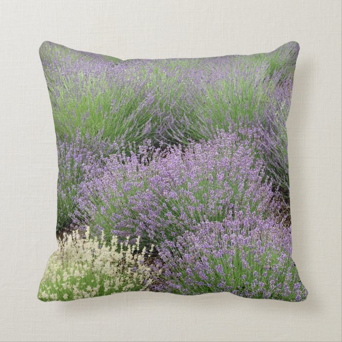 Lovely Lavender Throw Pillow