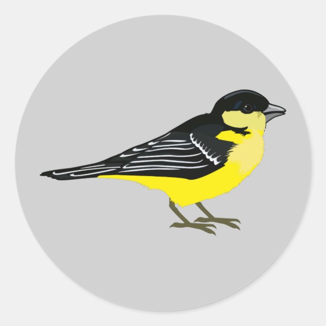 Lovely Lesser Goldfinch Classic Round Sticker (Front)