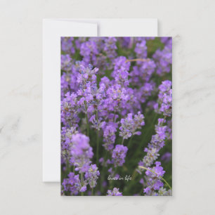 Lovely Light Lavender Note Card