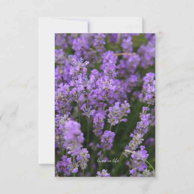Lovely Light Lavender Note Card (Front)