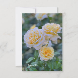 Lovely Light Yellow Roses Note Card