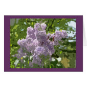 Lovely lilac blossom cards (Front Horizontal)